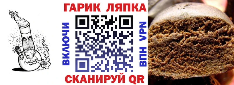 ГАШ Ice-O-Lator  Купить  Судак 