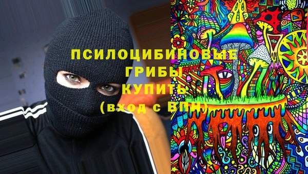 spice Зерноград