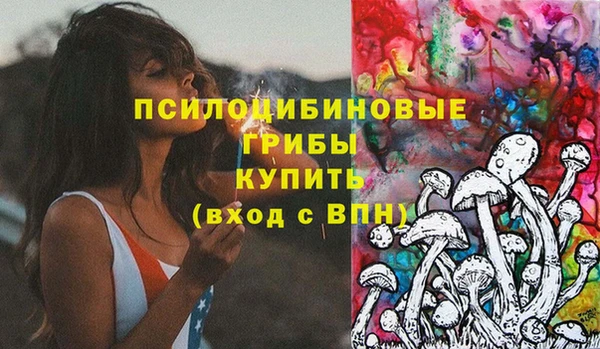 ГАЛЛЮЦИНОГЕННЫЕ ГРИБЫ Зеленодольск