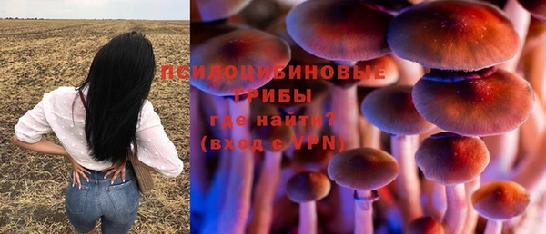 mdma Зеленокумск