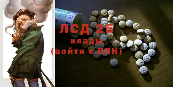 ГАЛЛЮЦИНОГЕННЫЕ ГРИБЫ Зеленодольск