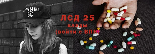 ГАЛЛЮЦИНОГЕННЫЕ ГРИБЫ Зеленодольск