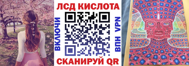 Марки N-bome 1500мкг Судак