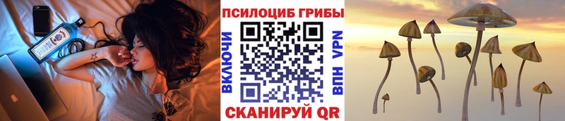 Галлюциногенные грибы ЛСД  Купить закладки  Судак 