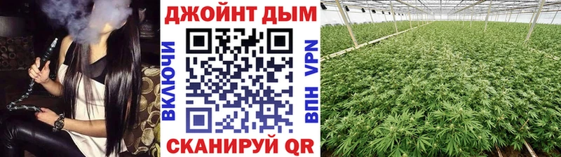 Купить где  Судак  Канабис гибрид 